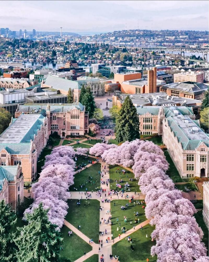 韩国外国语大学